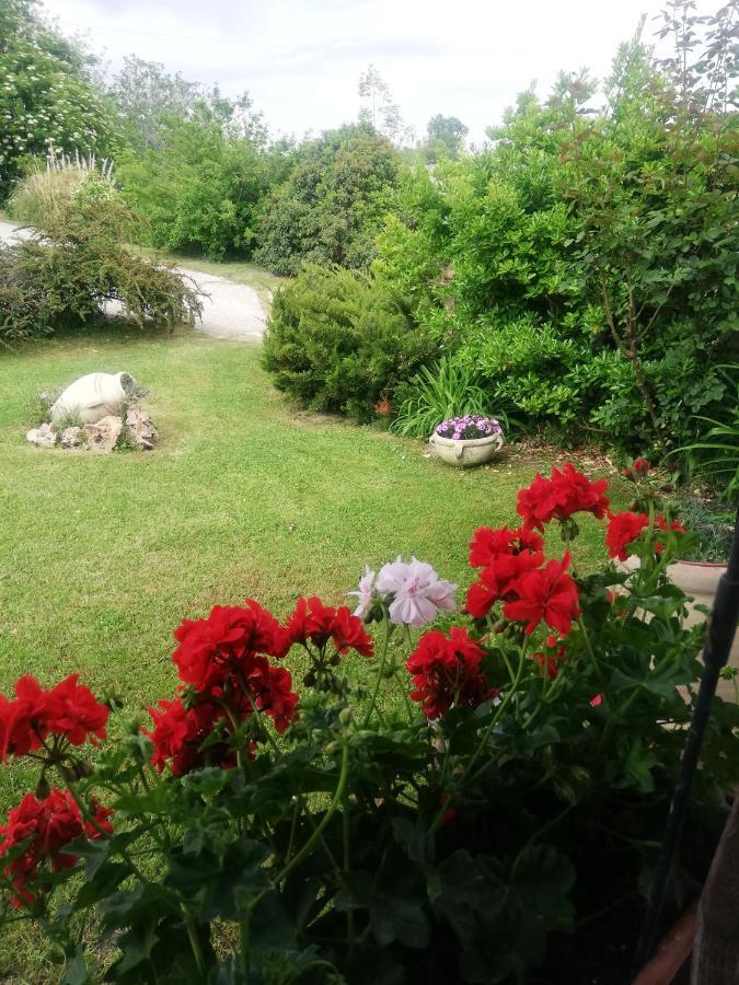 B&B Le Ginestre Castelli Exterior photo